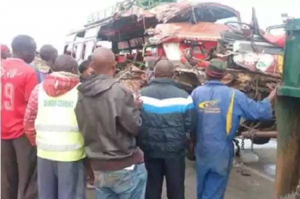 Driver Blames Snake for Fatal Accident Which Killed Over Eight Passengers